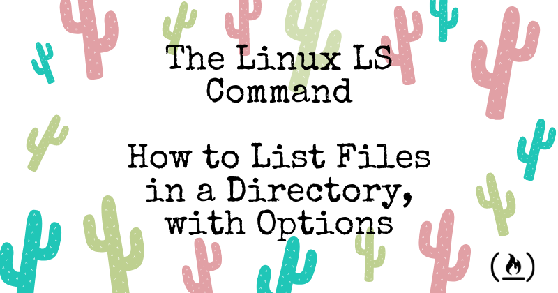 Linux LS 命令——如何列出目录中的文件 + 选项标志
